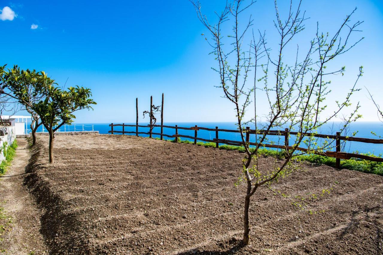 Villa La Tagliata Spectacular Jacuzzi Tub Amazing View And Private Parking Garage Positano Eksteriør billede